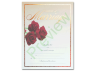 Red Roses Exclusive Marriage Certificate