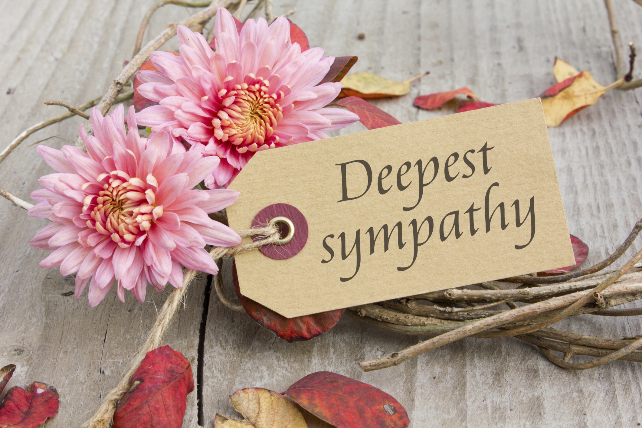 expressions of sympathy