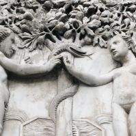 Understanding the Fall of Adam in Christian Theology