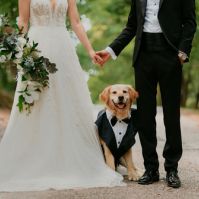 10 Tips for Including Your Pet at Your Wedding