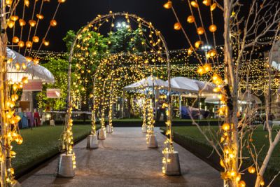 Beautiful Wedding Lights