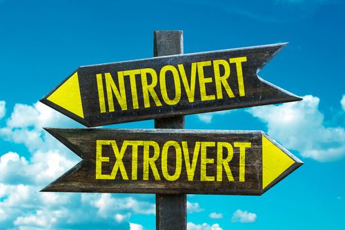 Introvert Extrovert Sign