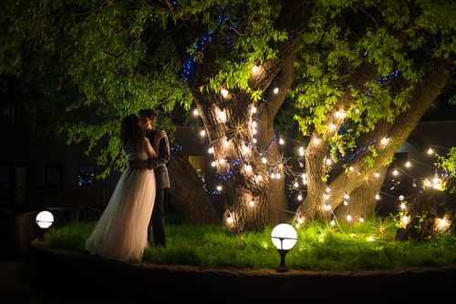 Night Lighting Under a Tree
