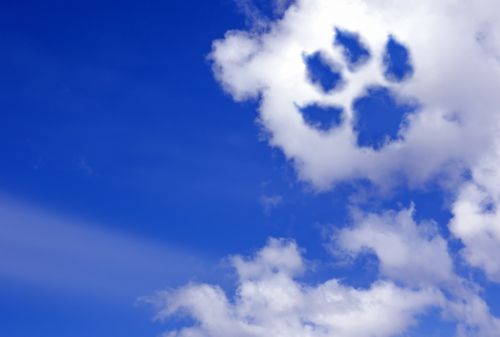 Pawprint in the Clouds