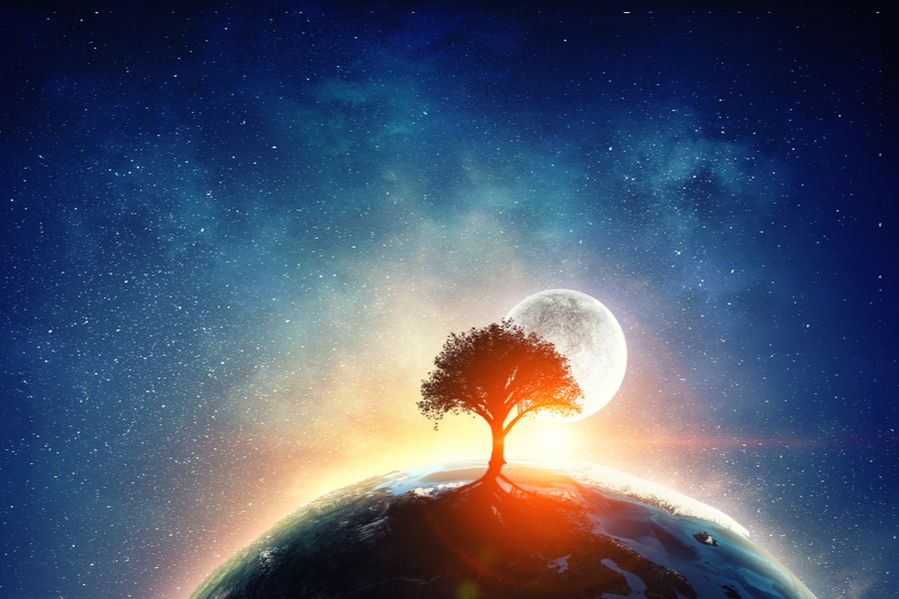 universe and planet with tree