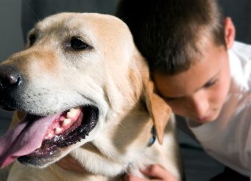 Pets Can Be Experts at Comforting People in Times of Grief