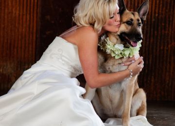 Bringing Your Best Four-Legged Friend to Your Wedding