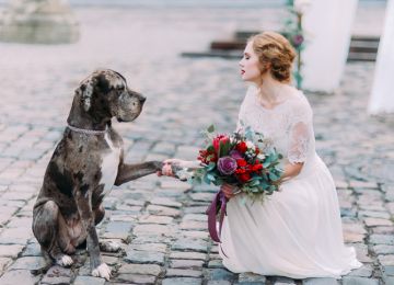 Here Comes the...Pupper? Including Pets in Your Wedding