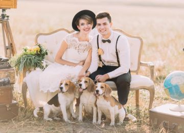 Make Your Furry Family Members a Part of Your Big Day