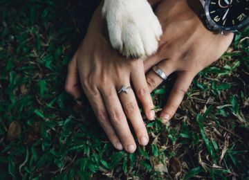 Fun Ideas for Including Your Fur Baby in Your Wedding