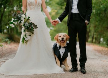 10 Tips for Including Your Pet at Your Wedding