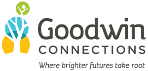 Goodwin Connections