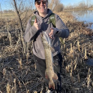 Amanda Morse - Ordained Minister - Get Ordained