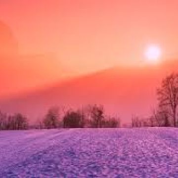 Sarah Perreaux, ULC Minister