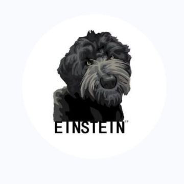 Einstein Officiant Services, ULC Minister