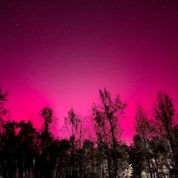 Amy Smith Cook, ULC Minister