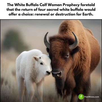 Marcus Mitchell Rutan, ULC Minister