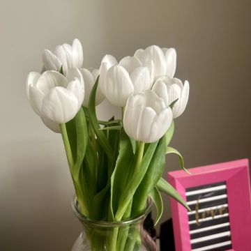 Pamela, ULC Minister