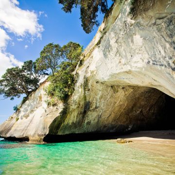 Invitational Evangelist C.D. Davis, ULC Minister