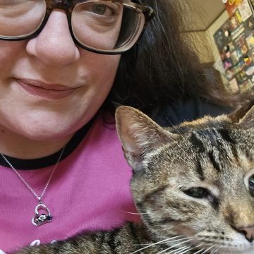 Ashley Abbott, ULC Minister