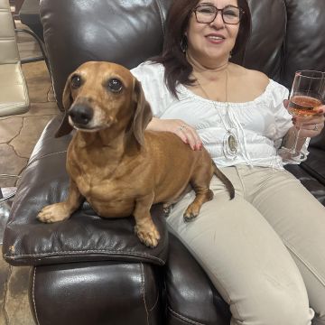 Selma S. Bravo, ULC Minister