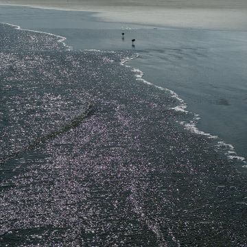 Mare Draper, ULC Minister