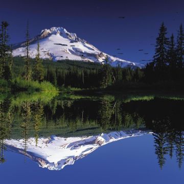 BenjaminS, ULC Minister