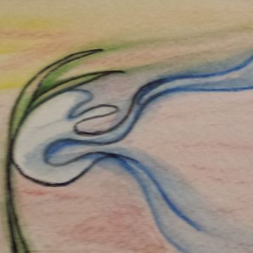 Michelle Mac, ULC Minister