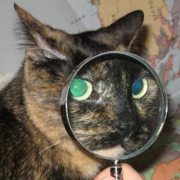 Chad Hubble, ULC Minister