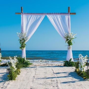 Marilyn The Mermaid, ULC Minister