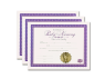 Baby Naming Certificate 3 Certificates