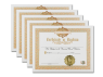 Baptism Certificate 5 Certificates