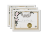 Certificate of Commitment - Marriage 3 Certificates