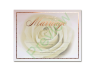 Big Rose Exclusive Marriage Certificate
