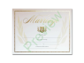 Shield Exclusive Marriage Certificate