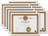 Handfasting Certificate 10 Certificates