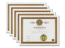 Handfasting Certificate 5 Certificates