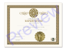 Handfasting Certificate 1 Certificate
