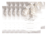 Marriage Certificate - Ivory Rose 10 Pack - $24.99