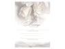 Marriage Certificate - Ivory Rose 1 Certificate - $5.99