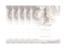 Marriage Certificate - Ivory Rose 5 Pack - $15.99