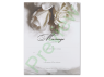 Marriage Certificate - Ivory Rose Single Pack