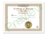Marriage Certificate 1 Certificate