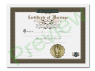 Marriage Renewal Certificate 1 Certificate