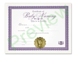 Baby Naming Certificate