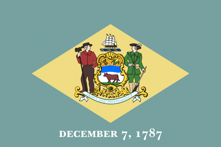 The Delaware state flag