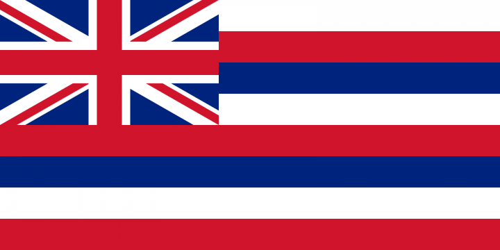 The Hawaii state flag