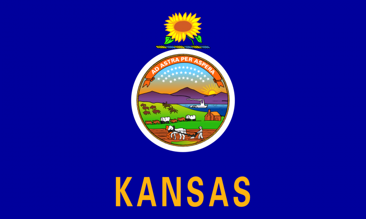 The Kansas state flag