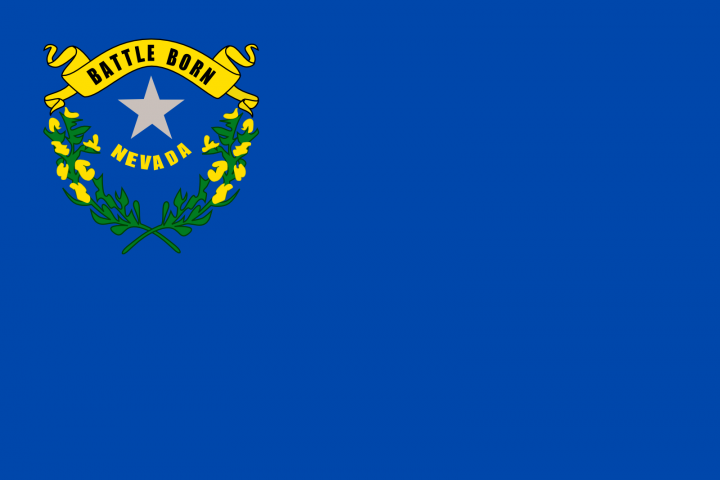 The Nevada state flag