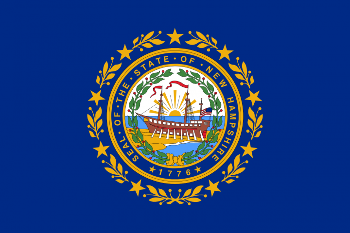 The New Hampshire state flag